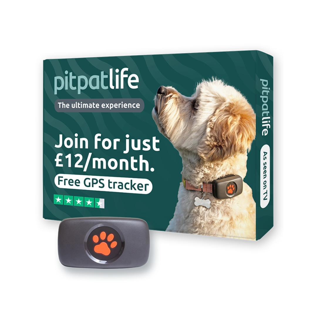 PitPat LIFE™ GPS Pet Tracker – Monitor Dog Location, Fitness & Safety