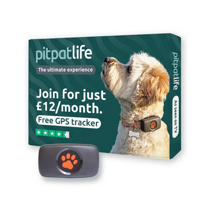 PitPat LIFE™ GPS Pet Tracker – Monitor Dog Location, Fitness & Safety