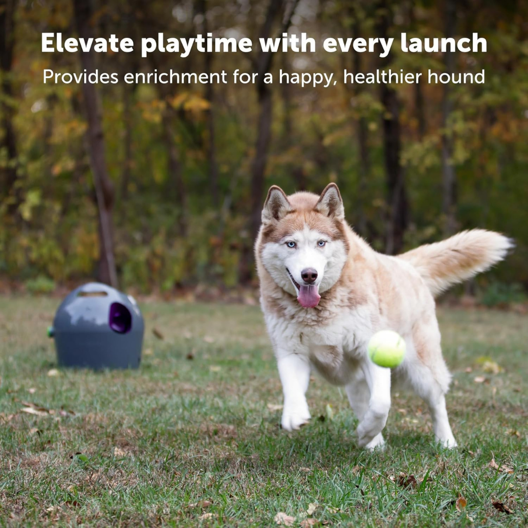 PetSafe Tennis Ball Launcher for Dogs – Hands Free Fetch Fun