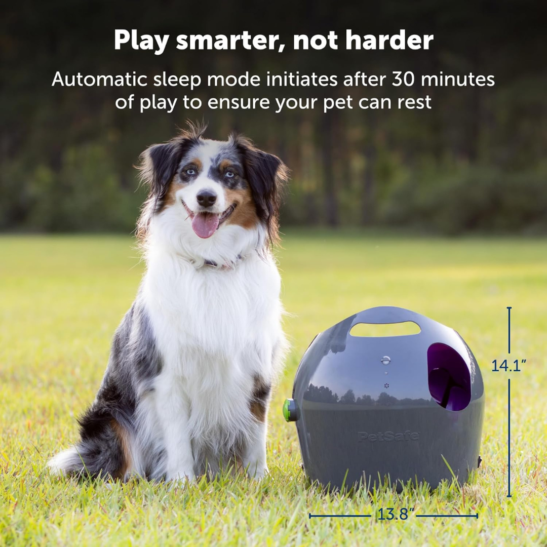 PetSafe Tennis Ball Launcher for Dogs – Hands Free Fetch Fun