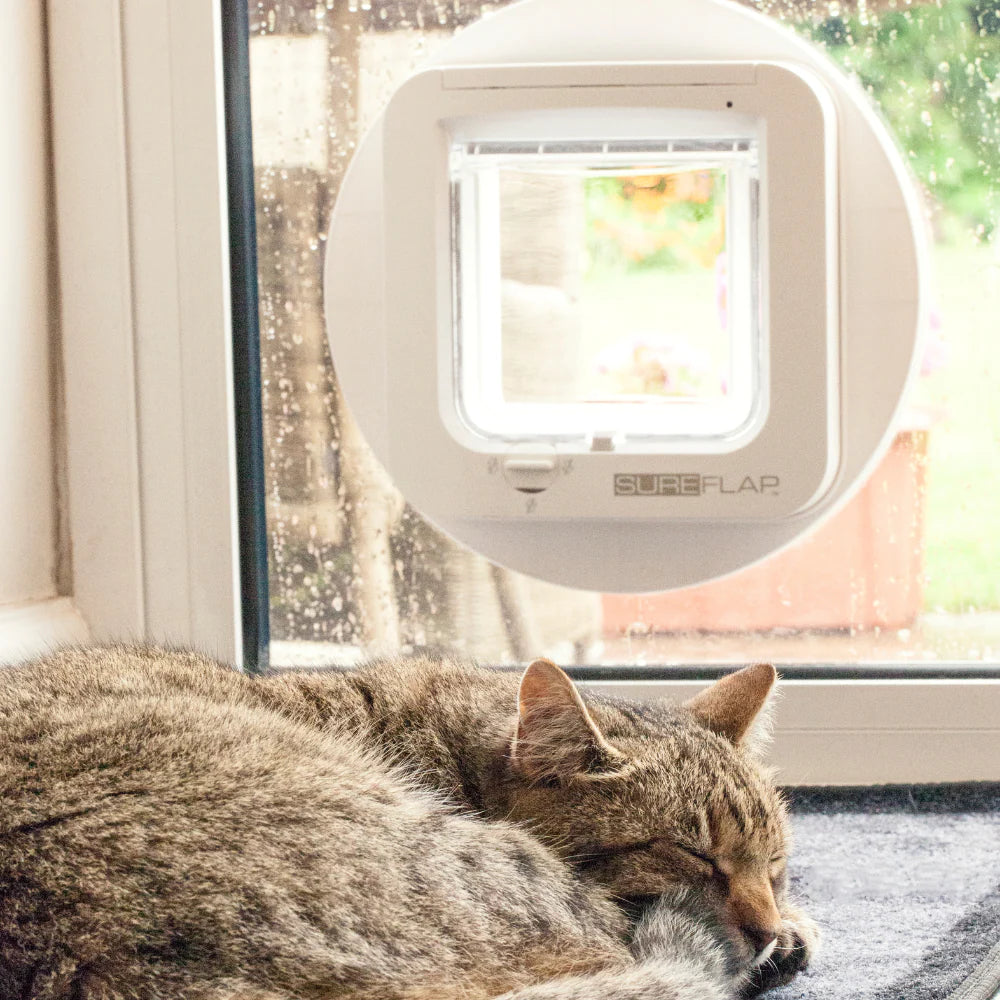 SureFlap Microchip Cat Flap – White  Smart Pet Door