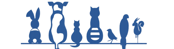 Animals & Extras